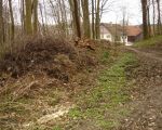 marktspaziergang_3_20100410_1247775622.jpg
