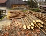 marktspaziergang_2_20100410_1429595152.jpg