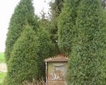 marktspaziergang_1_20100410_1116640357.jpg